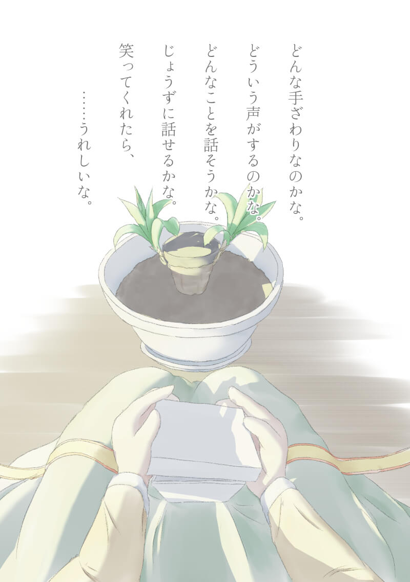 COCOLOPLANT trial page13